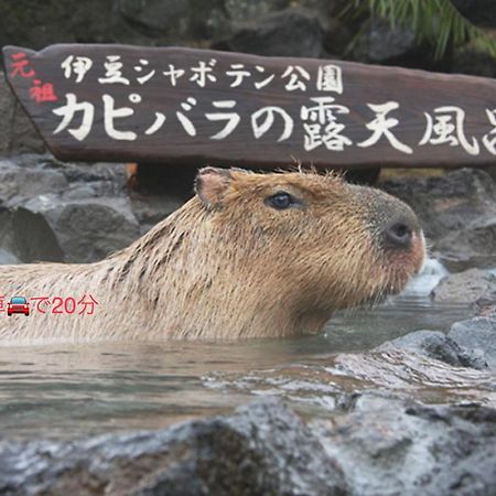 伊東市 Breathtaking View Houseヴィラ エクステリア 写真
