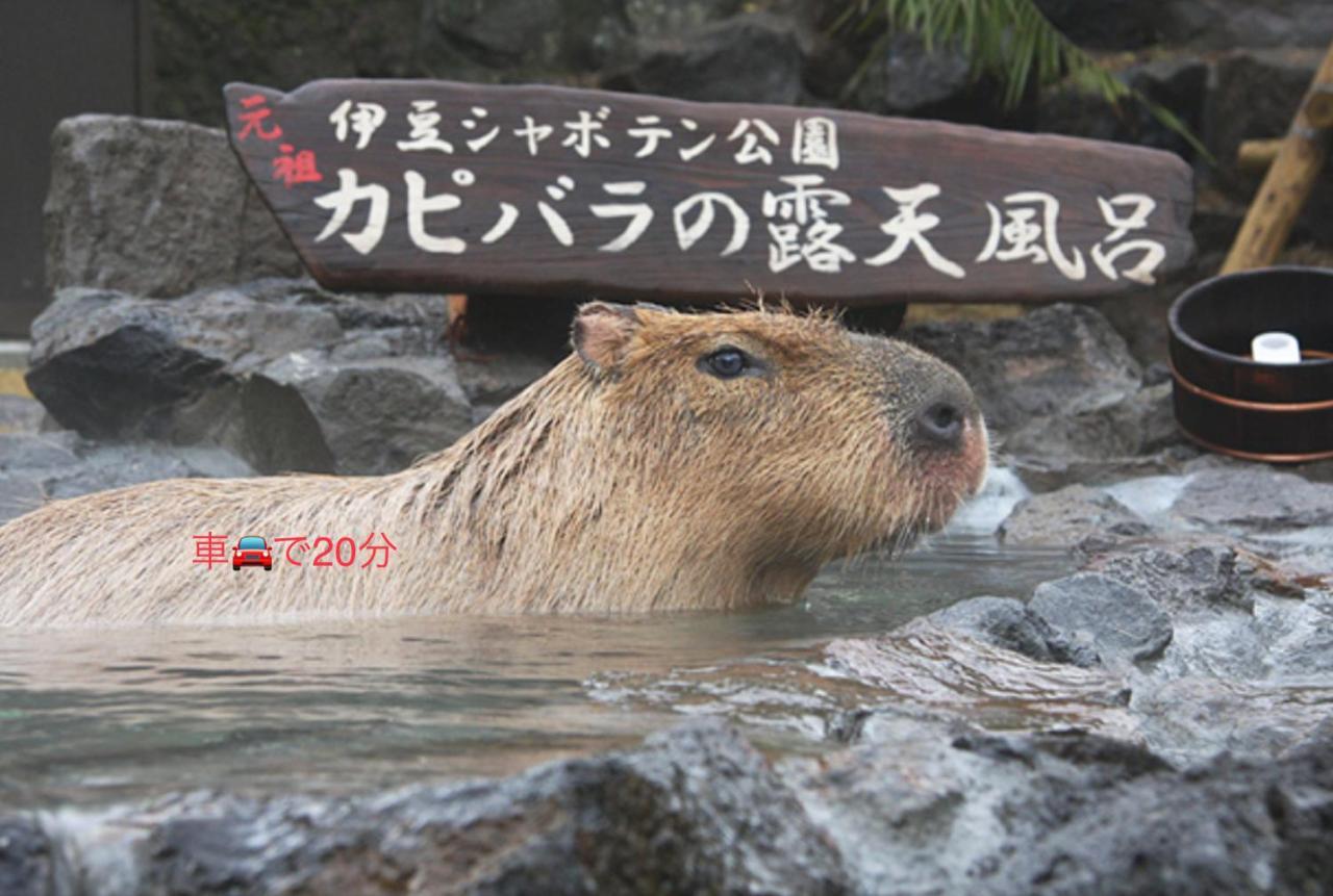 伊東市 Breathtaking View Houseヴィラ エクステリア 写真